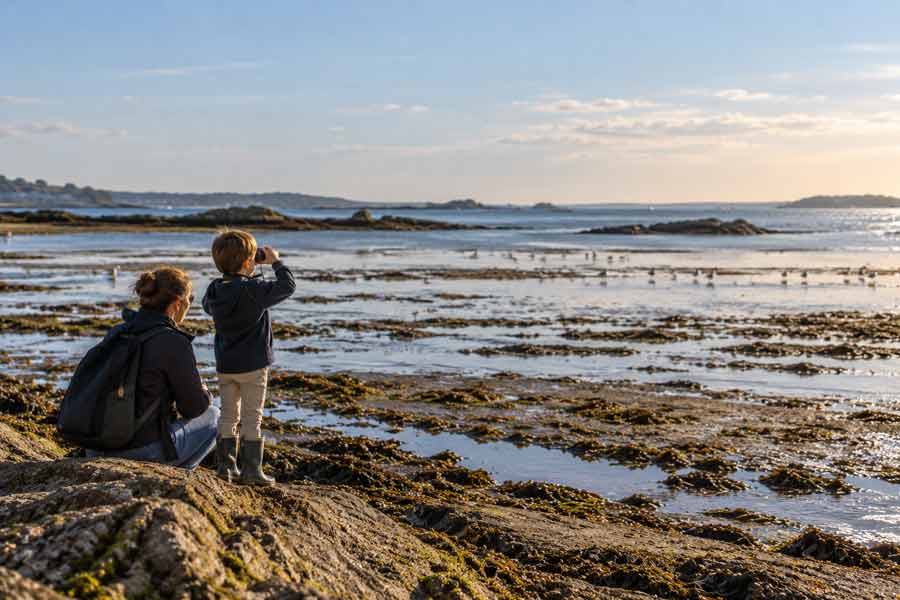 Mère et enfant observant aux jumelles les oiseaux de l'anse de Penfoulic à marée basse, au Cap Coz, dans la baie de La Forêt en Finistère Sud