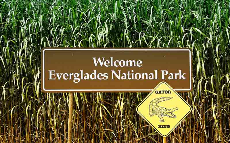 Panneau Everglades National Park