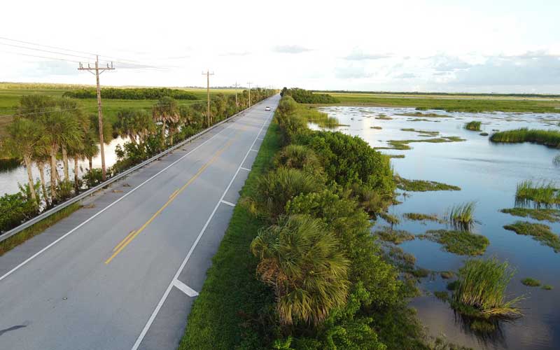Route dans les Everglades