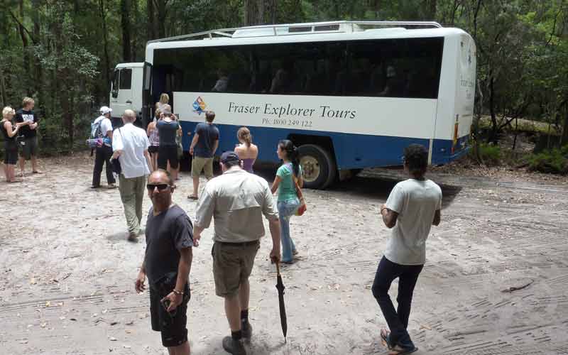 Bus du Fraser Explorer Tours dans la rainforest