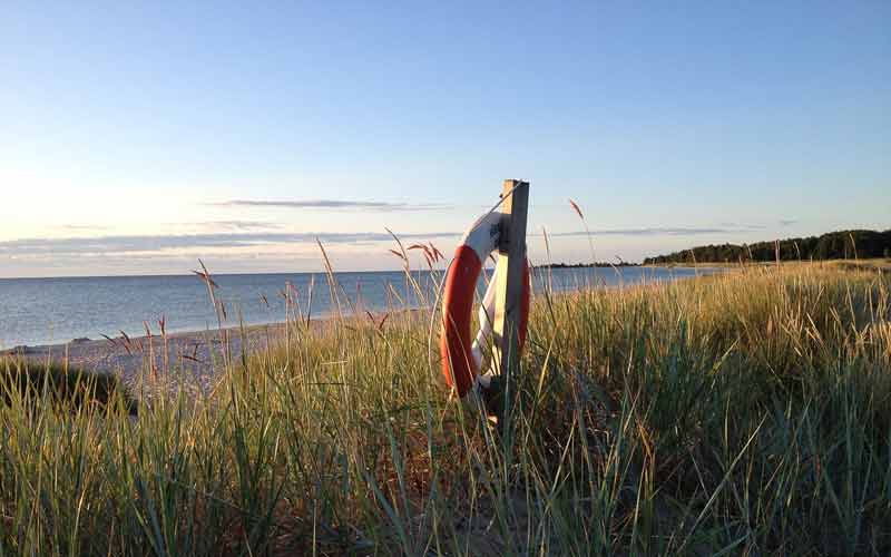 Plage sur l'île d'Öland