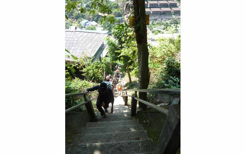 Montée de l'escalier de Tonsai pour aller au point de vue