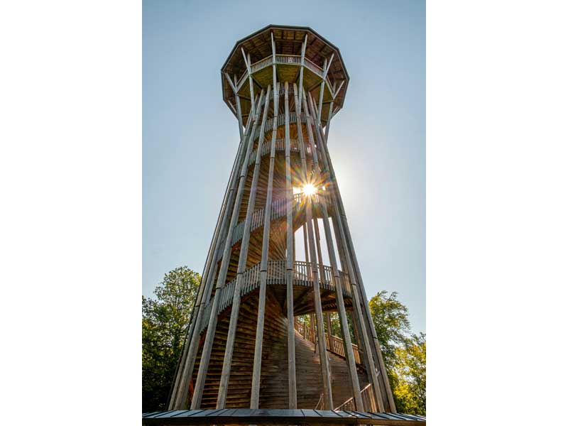 Tour en bois de Sauvabelin à Lausanne photographiée en contre-plongée avec le soleil filtrant à travers la structure