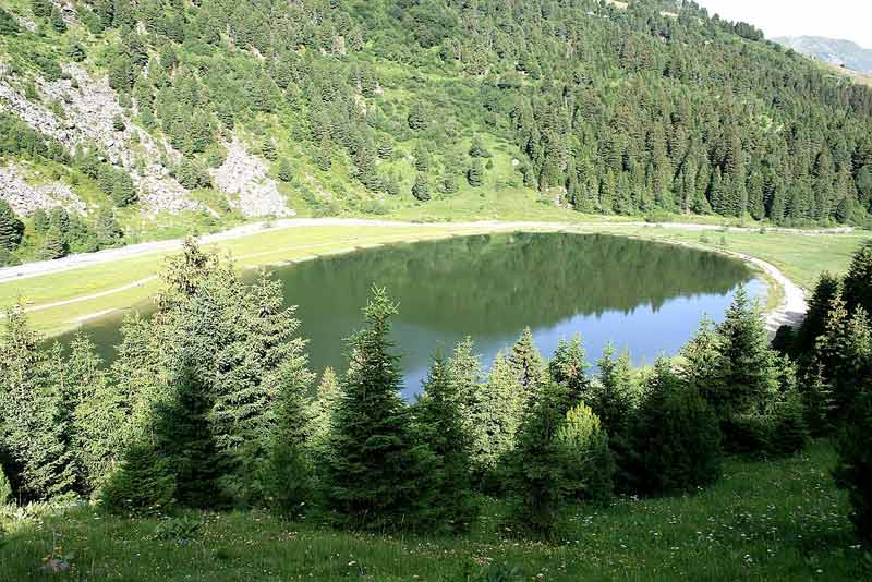 Lac de Tueda à Méribel entouré de sapins et de montagnes verdoyantes