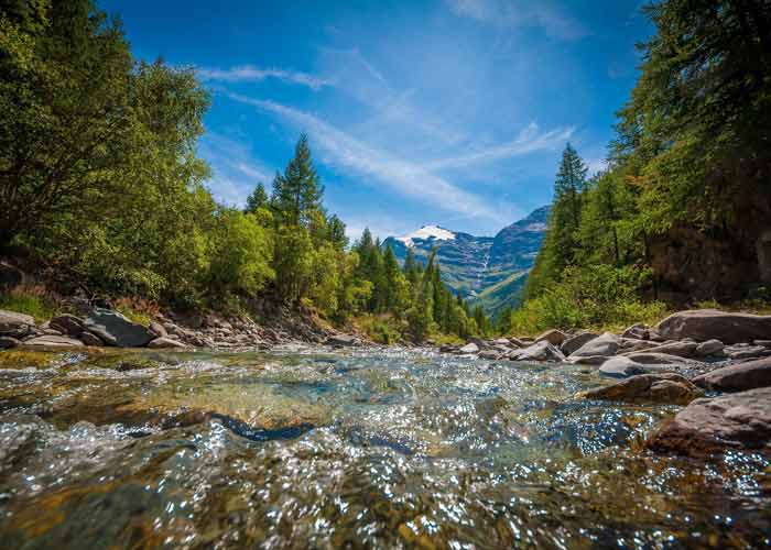 Torrent alpin bordé de forêts et dominé par un sommet enneigé à Méribel, en été