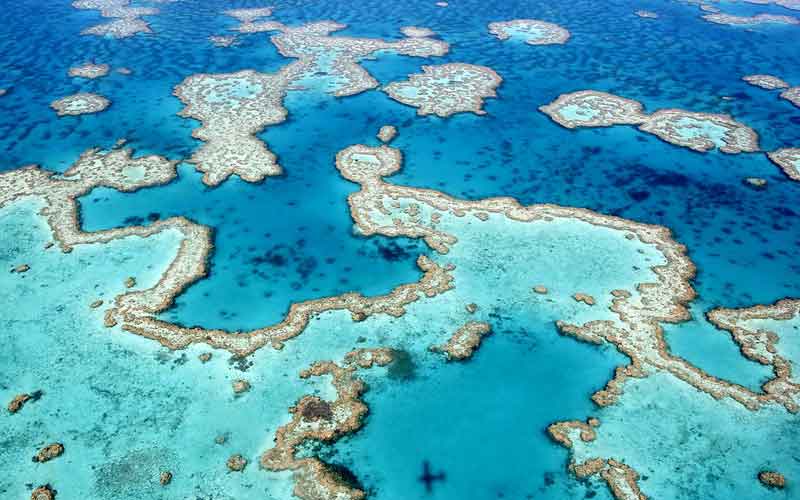 La grande barrière de Corail (Cairns) vue depuis le ciel