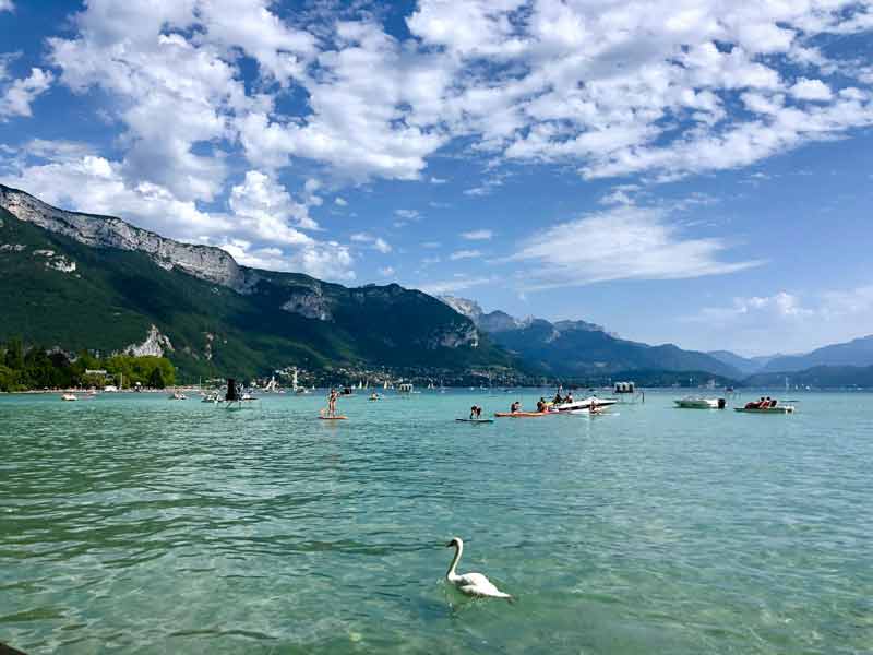 Paddles, kayaks et cygne sur les eaux turquoise du lac d’Annecy, au pied des montagnes, pour un après-midi nautique