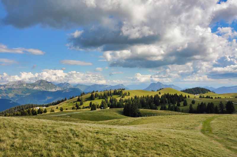 Sentier de randonnée à travers les alpages et les sapins du Semnoz, au-dessus d’Annecy