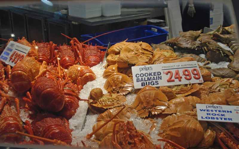 Etal de homards au Sydney Fish Market