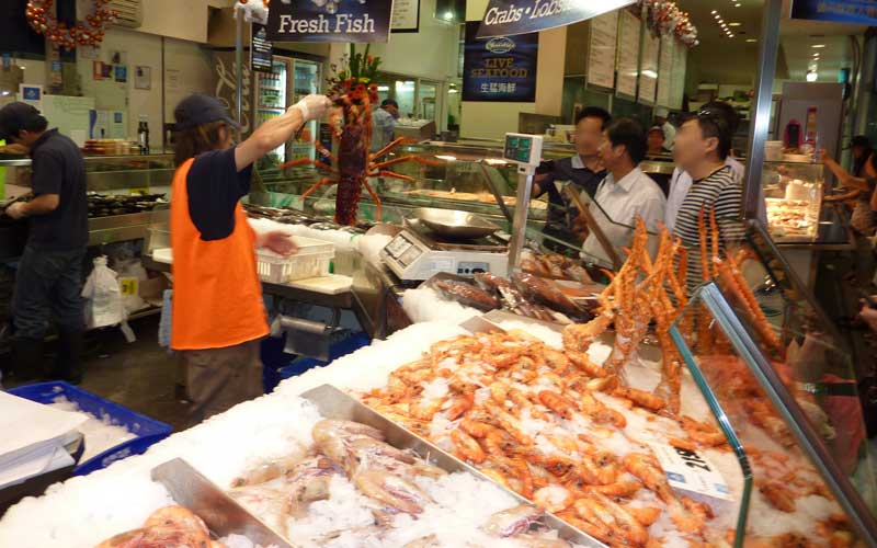 Poissonnier qui tient un homard vivant, Sydney Fish Market