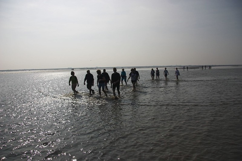 Wadlopen, marche à marée basse