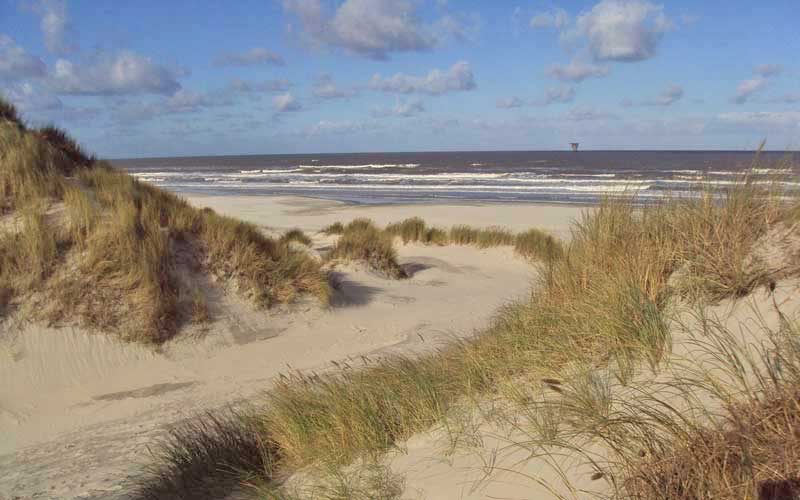 Dunes de sable sur l'île d'Ameland